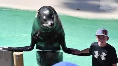 **** Summer Savings SeaWorld Or Sesame Place