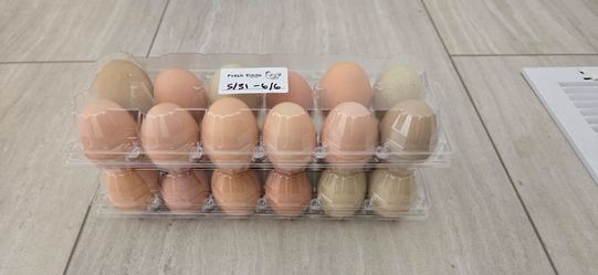 Fresh chicken EGGS for sale