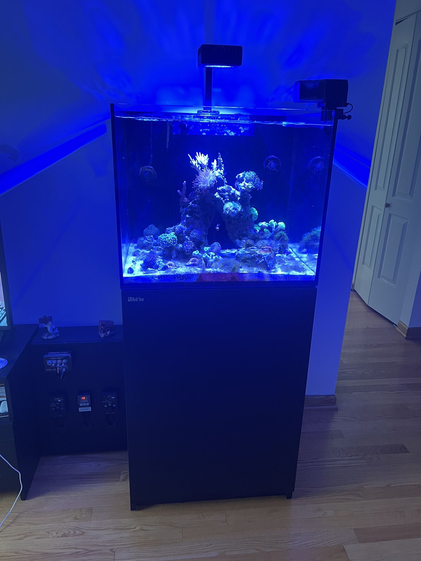 Fish tank - Red Sea Reefer170 
