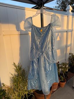 Cinderella Princess Costume Dress 14-16
