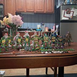 Huge tmnt lot