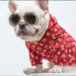 SUPREME LOUIS VOUTON 