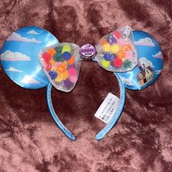 Up Disney Parks Exclusive 