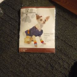 Dog Costume Rainbow Cutie