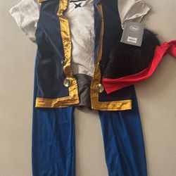 DISNEY STORE Jake and the Never Land Pirate Jake Child Halloween Costume 5/6 up to 116 cm