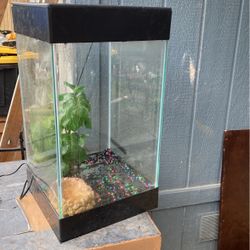 Fish Tank