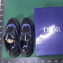 Dior B22