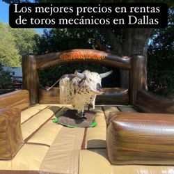 Mechanicall Bull / Renta De Toros Mecanicos