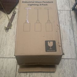 Industrial Pendant Lighting.