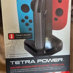 Nintendo Switch Joycon Charger