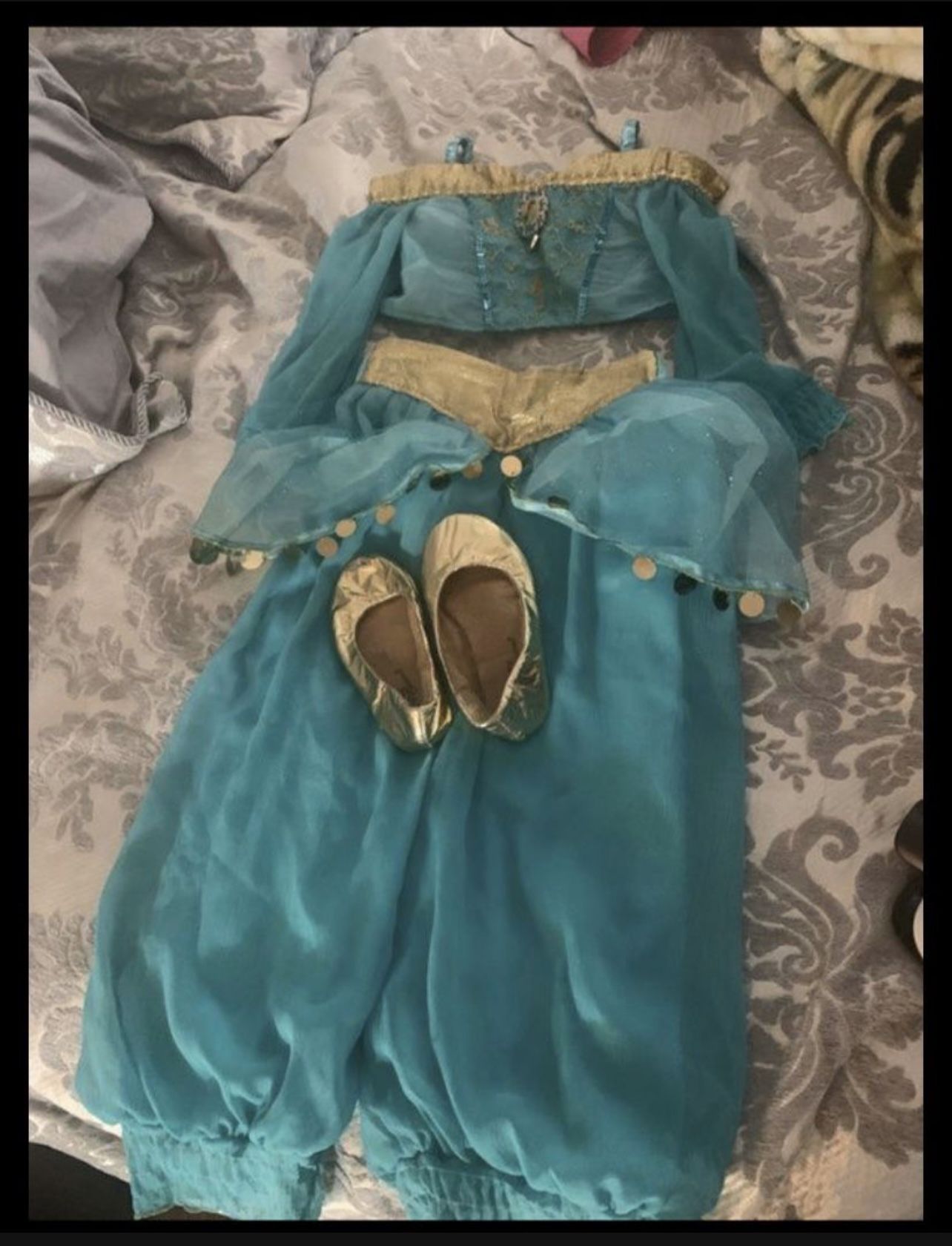 princess jasmine costume