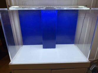 65 Gallon Reef-Ready Fish Tank w/ Sump & Stand – All-In-One Setup!