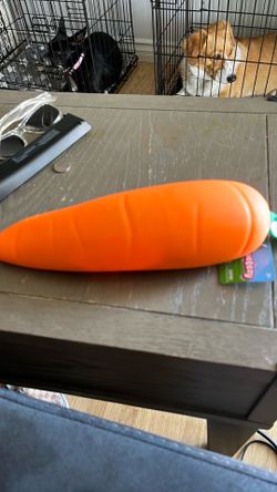 Carrot squishy