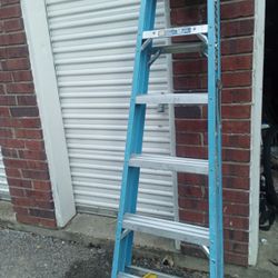 6ft Fiberglass Warner Ladder 