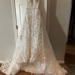 Designer Wedding Dress( Eve Of Mylady) 