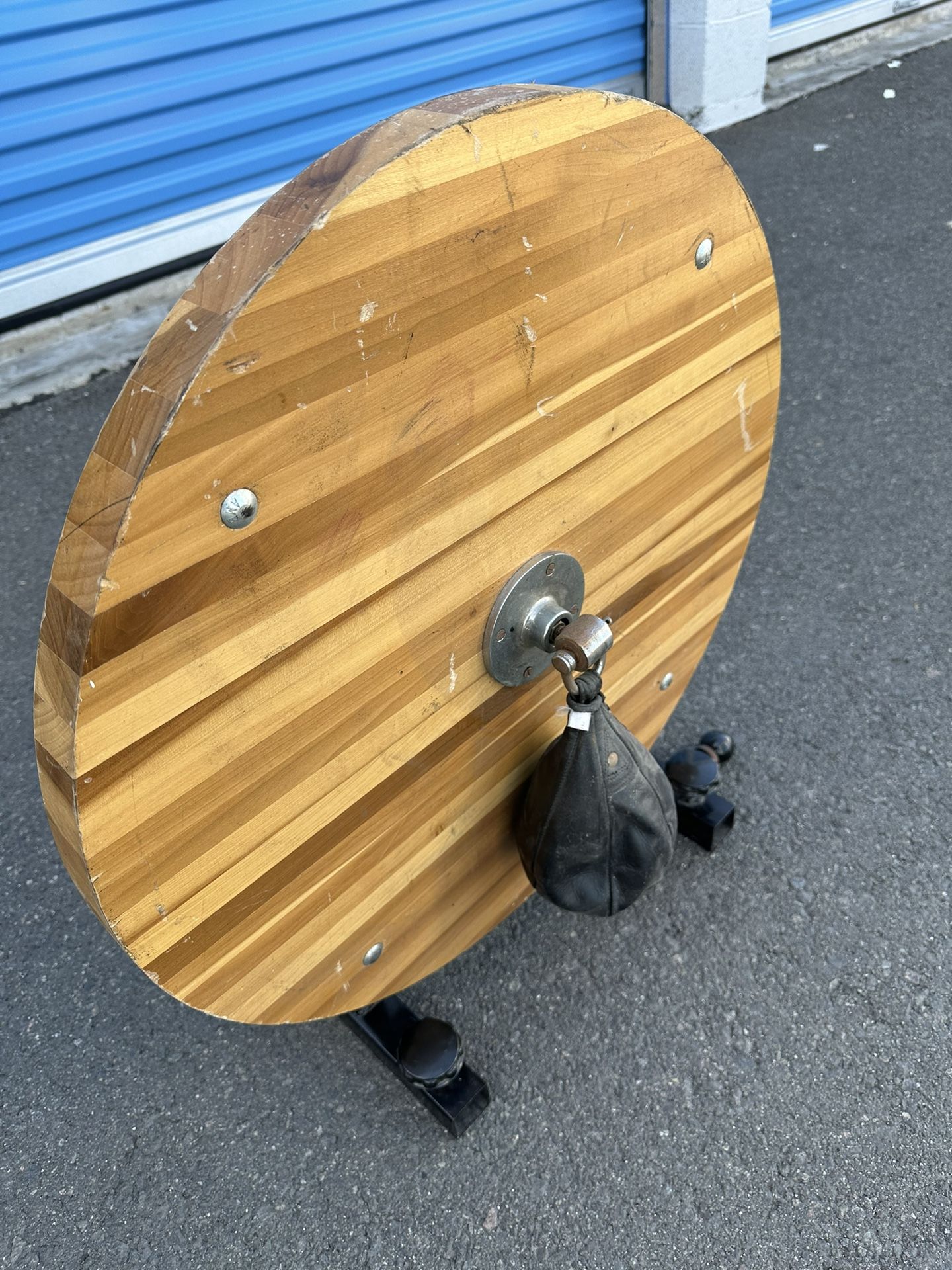 Professional Speed Bag