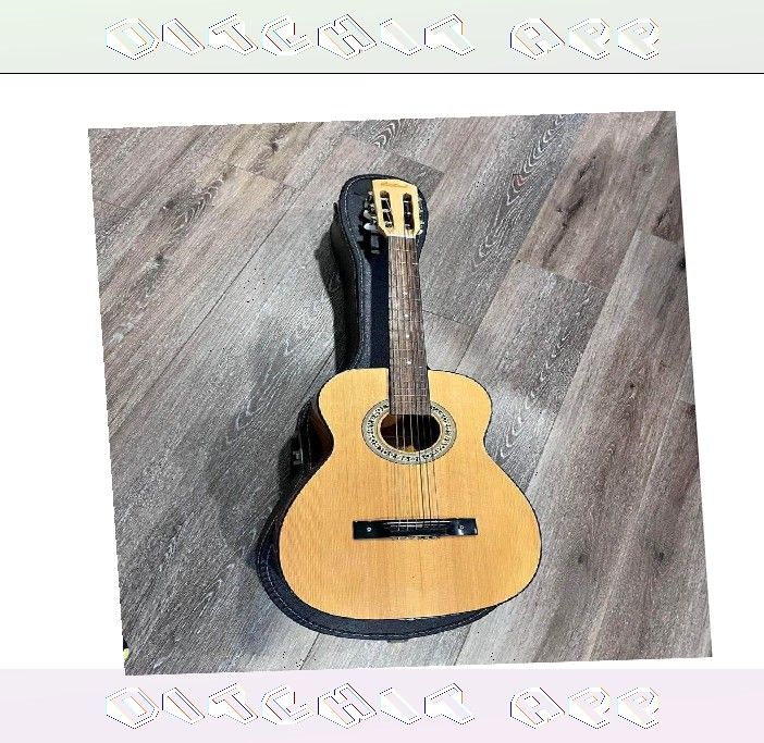 Acoustic Guitar Rich Music and Classic Expert Design member standard