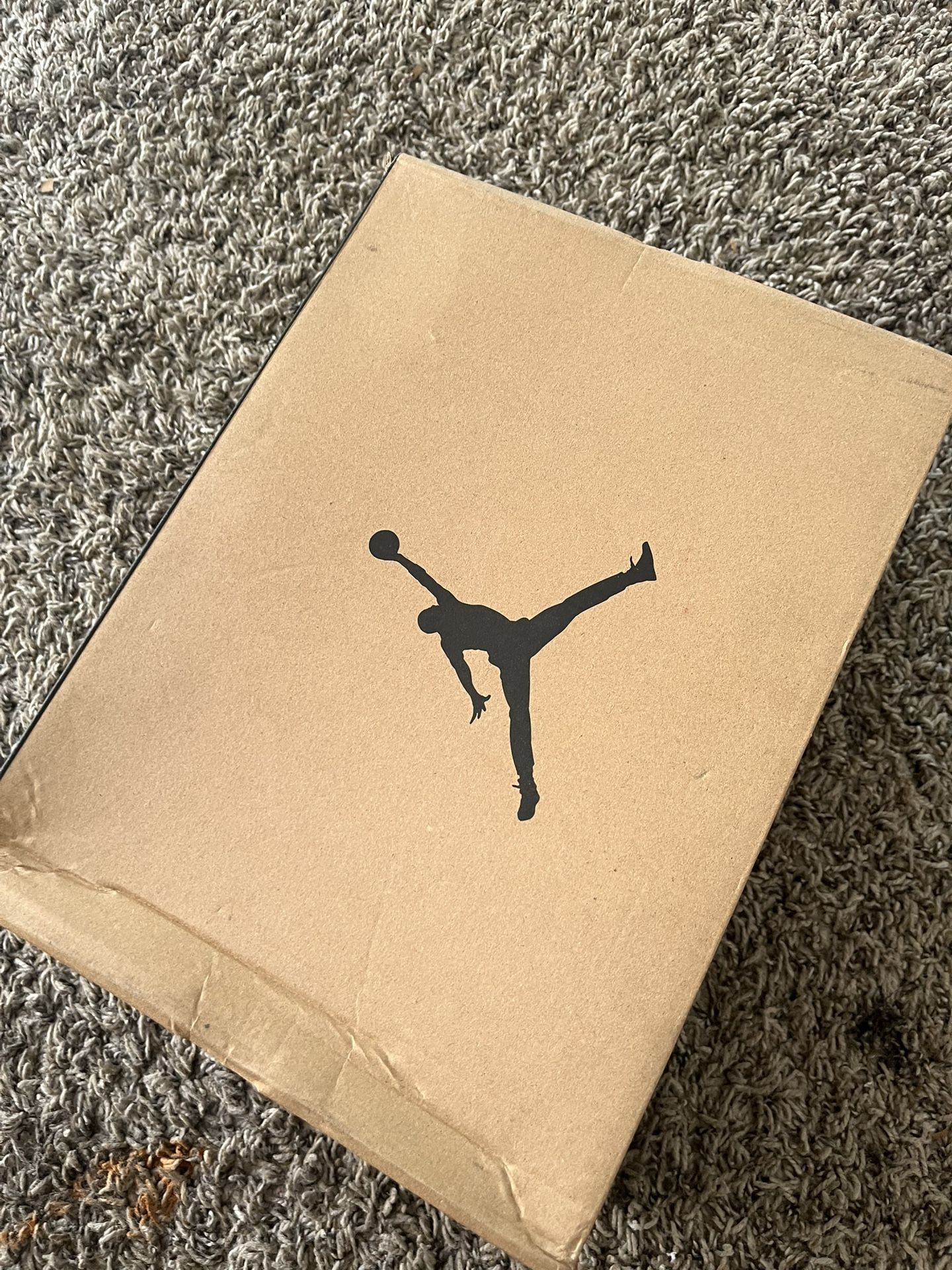 Air Jordan 12 Blue