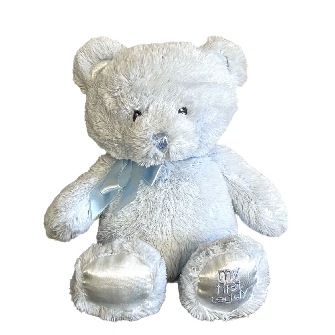 Baby Gund My First Teddy Bear Plush Stuffed Animal Blue Embroidered 10 Inch