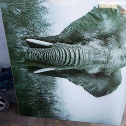 All Glass Elephant Frame