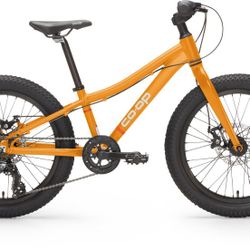 REV 20 6-Speed Plus Kids' Mountain Bike