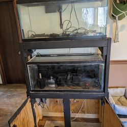 Dual 30 Gallon Fish Tanks With Stand