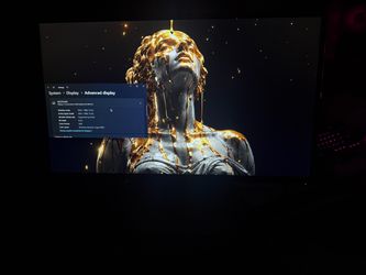 Dell monitor
