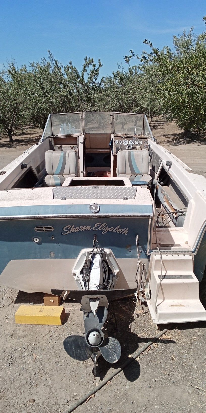Glastron Family Ski Boat