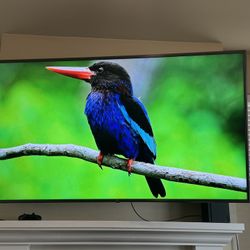 LG 75” TV 