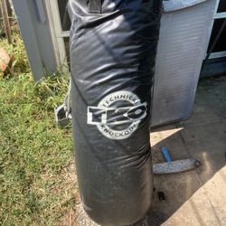 Punching Bag & Dumbells (Iron)