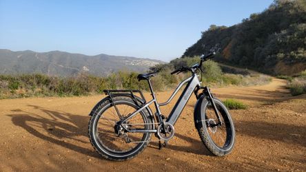 Dirwin Pioneer Step Through Fat Tire Electric Bike