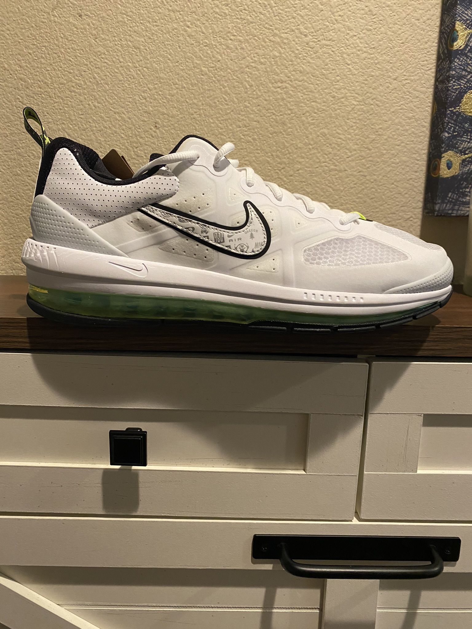 Nike Air Max 2017 Size 14