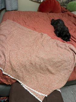 Quince Italian Cotton Geometric Blanket