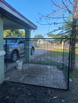 Kennel