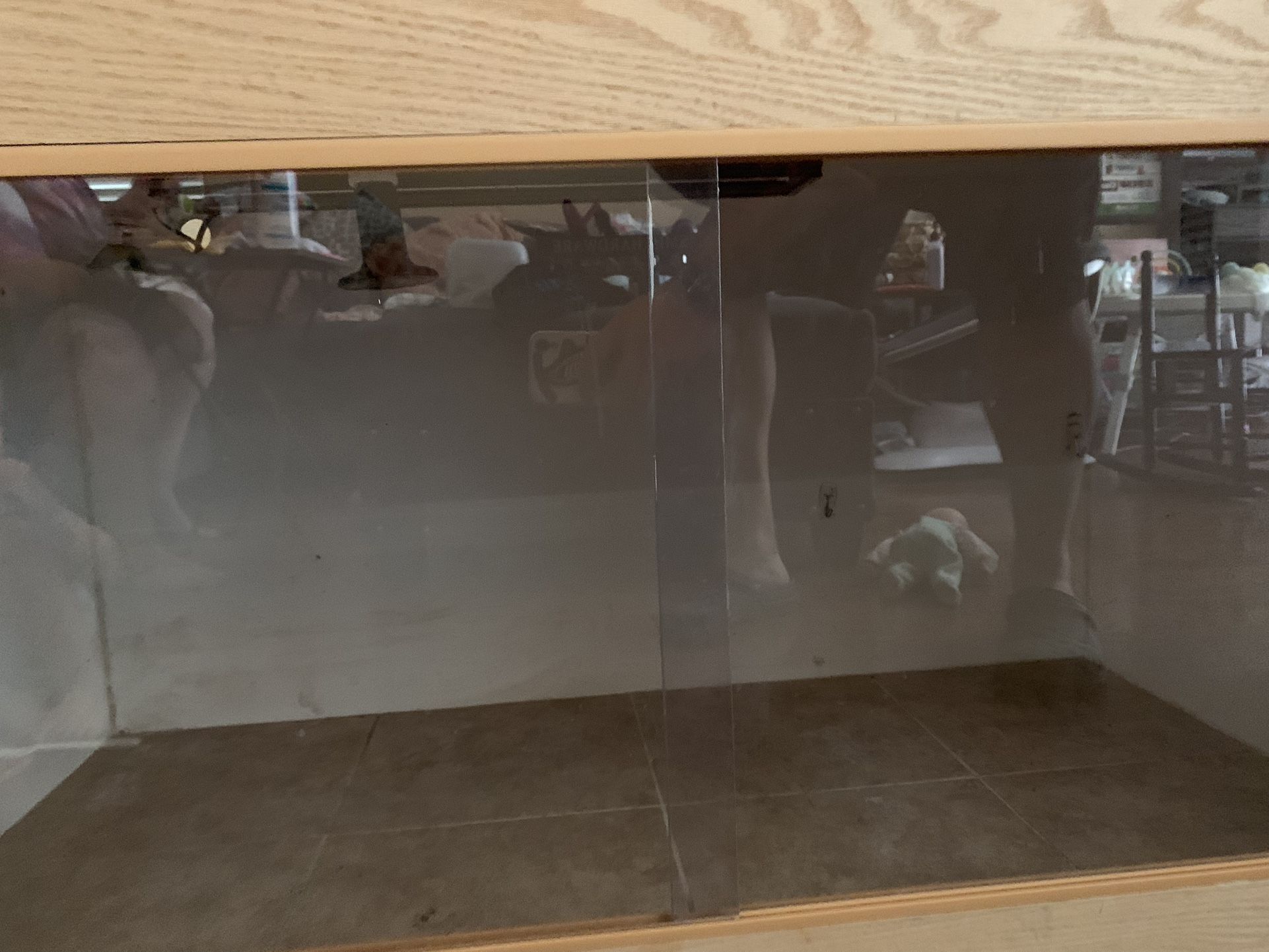 Terrarium for Sale in Las Vegas, NV OfferUp