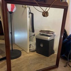 Mid Century Hanging Wall Mirror  37”x25”