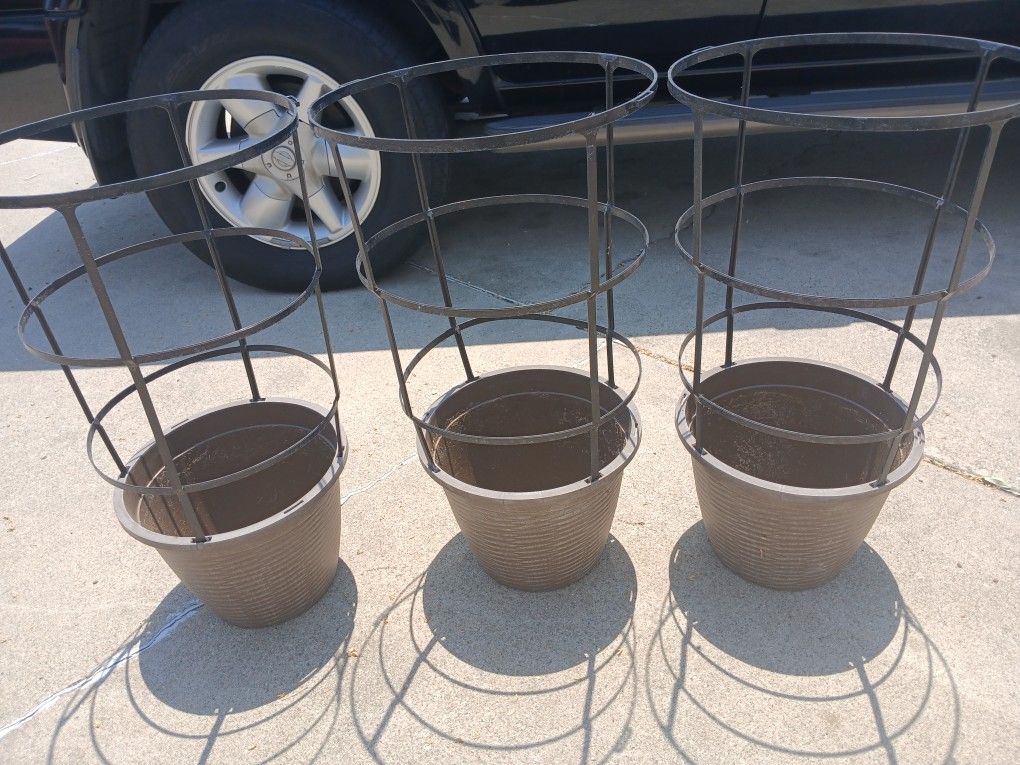 Tomato Cages With Pots
