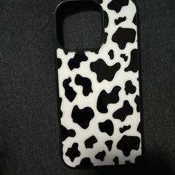 iPhone 13 Pro Case