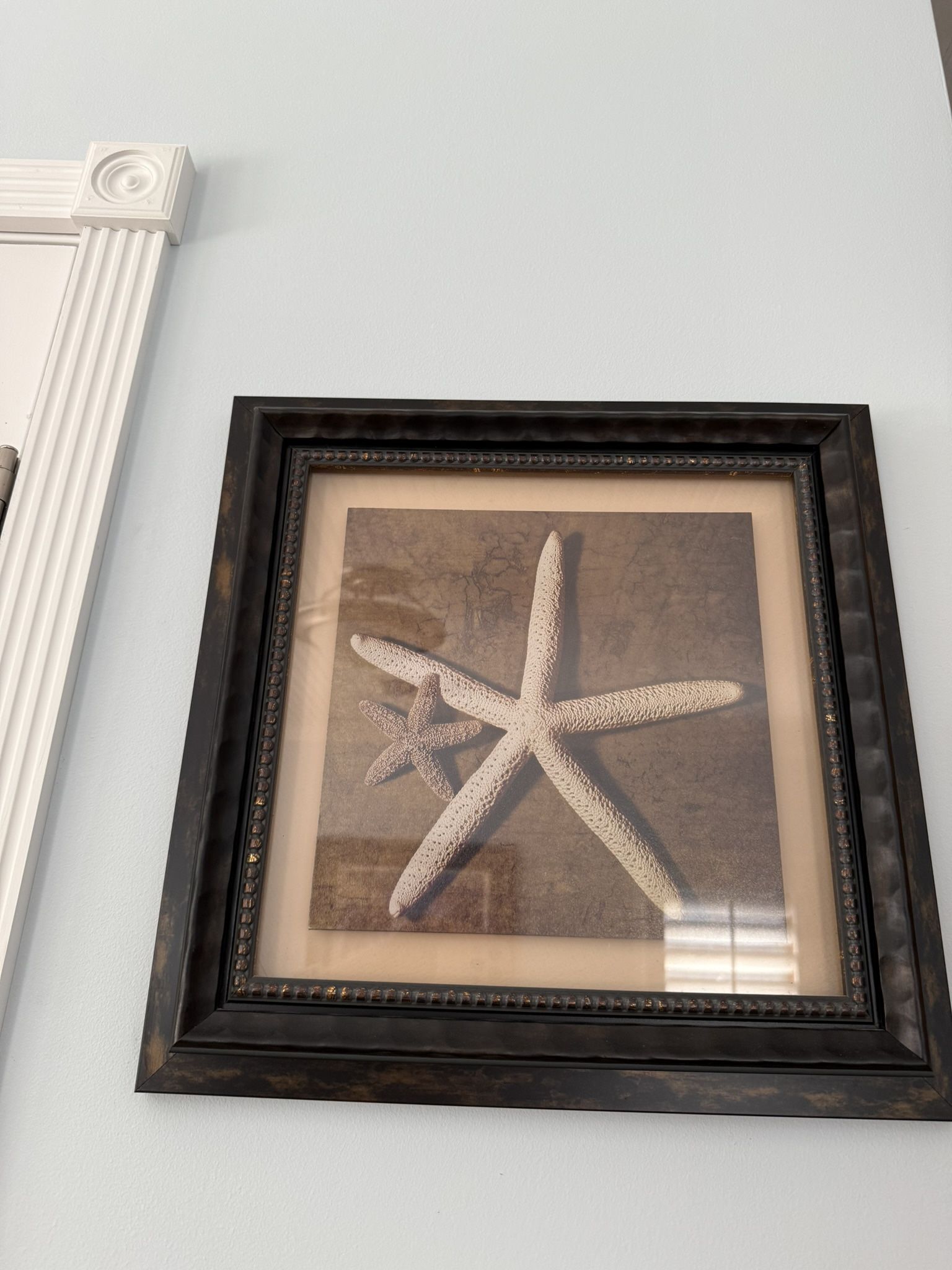 Z Gallerie Starfish & Seashell Artwork