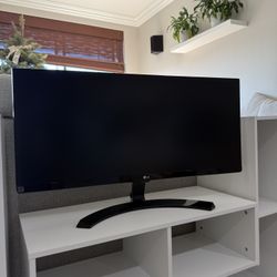 29" Class 21:9 UltraWide Full HD IPS LED Monitor (29" Diagonal)