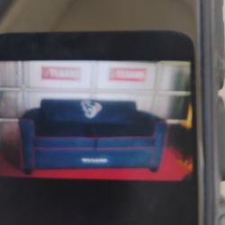 Houston Texas Man Cave Couch 