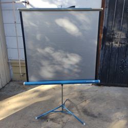 Dalite Projector Screen