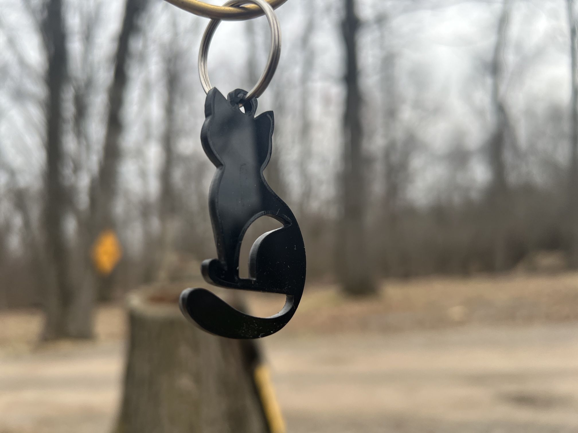 Black Cat key chain