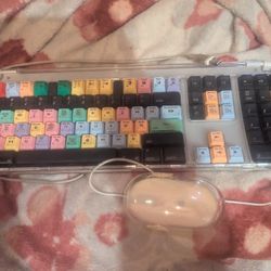 Apple Pro Keyboard 