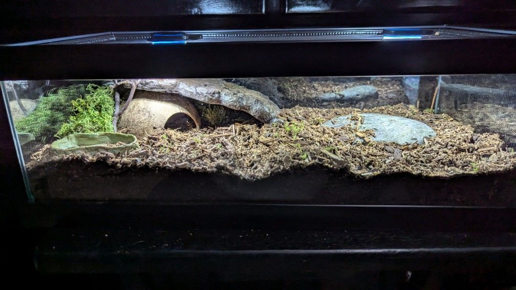 Terrarium
