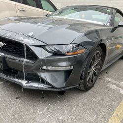 2019 Ford Mustang