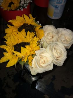 Chocolate and Roses