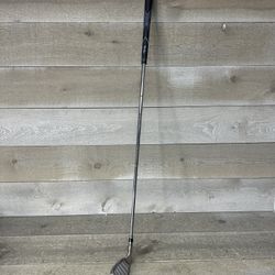 Walter Hagen Varsity Stainless Single 9 Iron Golf Club Steel Shaft 35" RH