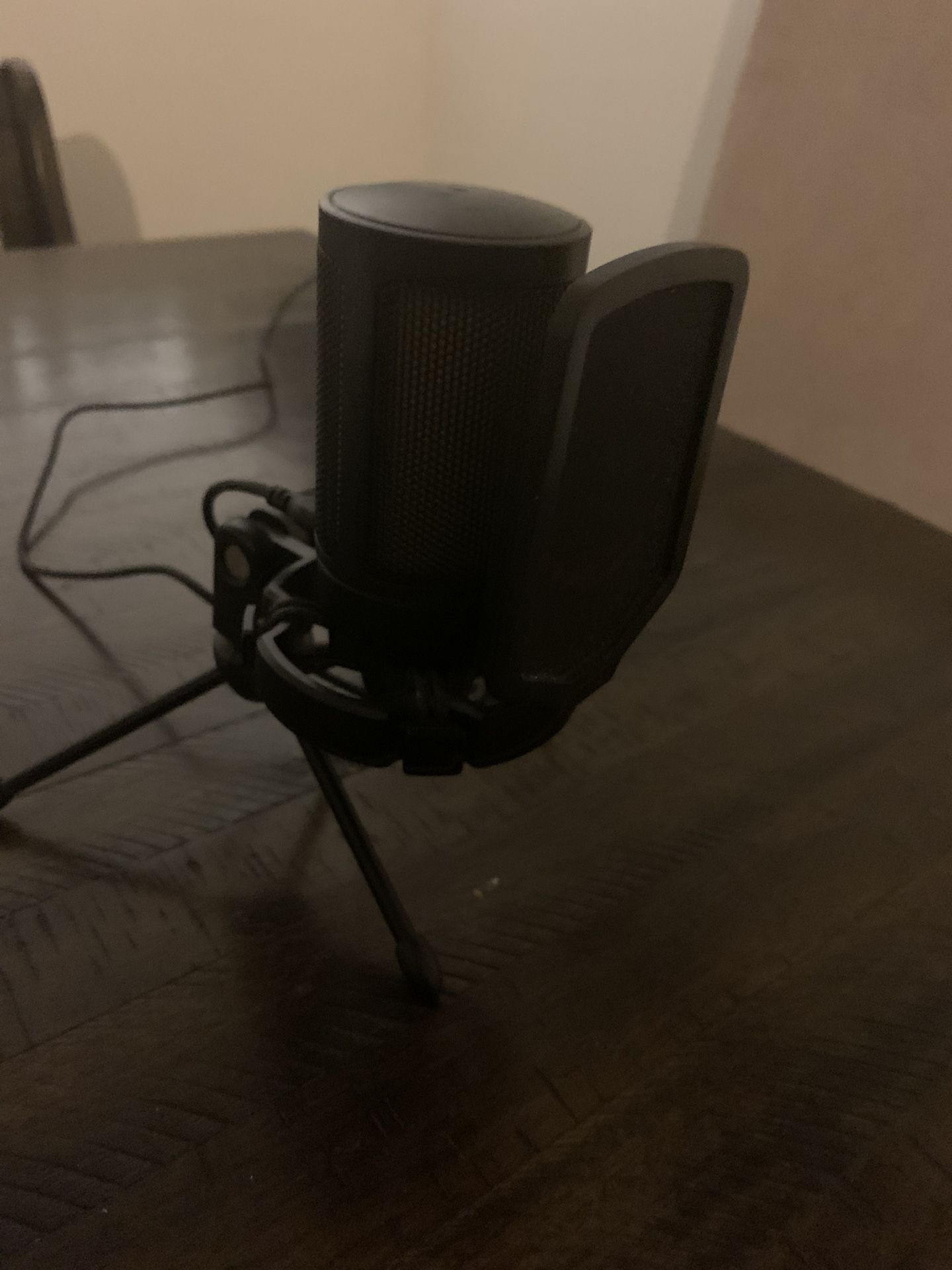 Microphone