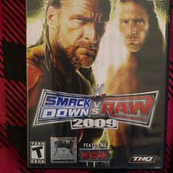 Smack Down Vs Raw 2009  Ps2